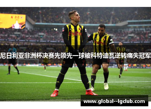 尼日利亚非洲杯决赛先领先一球被科特迪瓦逆转痛失冠军 尼日利亚非洲杯决赛先领先一球被科特迪瓦逆转痛失冠军